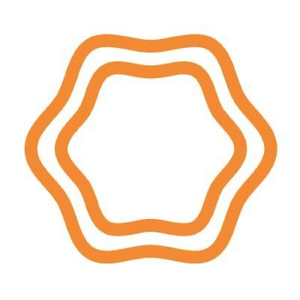 Team Page: Oranjcicles